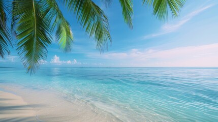 Serene Beach Scene - Calm Waters, Sunny Skies, Palm Trees