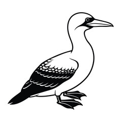  Gannet Bird Silhouette Art Design