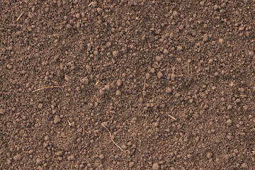 close-up fertile soil, natural ground for planting farm plants