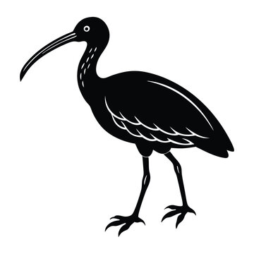recommend clip art:  Ibis Bird Walking Silhouette Art