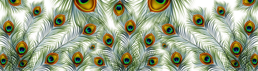 Obraz premium Beautiful peacock feathers pattern. feathers pattern texture background.