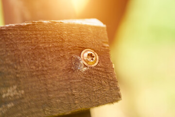 Macro view of hex bolt in wooden plank
