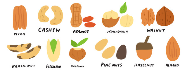 Set of nuts. Healthy organic food. Vegetarian food. Flat illustrations. Hand drawn vector icons on white background.