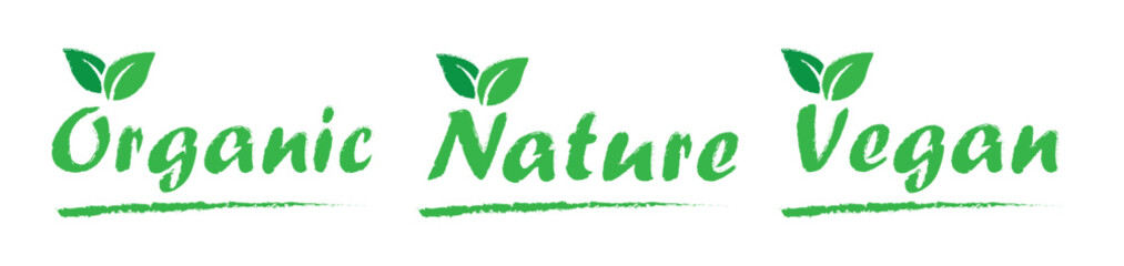 Organic natural elements set icon, vector illustration