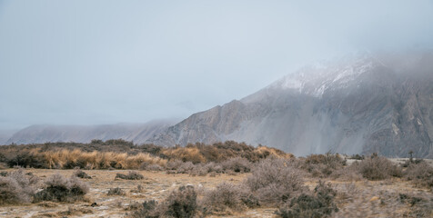 Cold desert landscape from Nubra Valley in Ladakh, India. Sand roads and dry vegetation. Scenic...