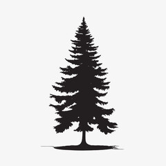 Obraz premium black silhouette of a alpine balsam tree in white background