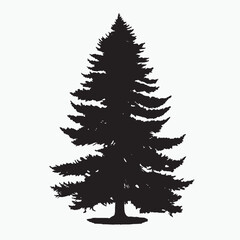 Fototapeta premium black silhouette of a alpine balsam tree in white background