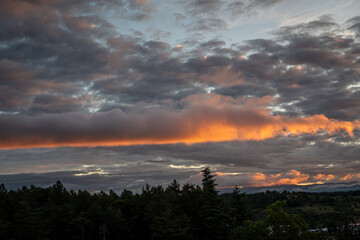 View of the pine forest and sky with clouds at sunset from the Hospital Monte San Isidro, León, Spain.