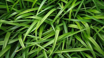 Grass background top view illustration generated by ai