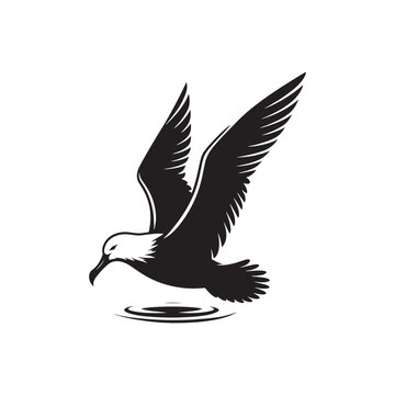 recommend clip art: Silhouette of soaring albatross - albatross illustration - albatross black vector
                    