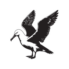Silhouette of albatross - minimallest albatross vector
