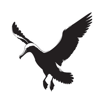 recommend clip art: Albatross in silhouette - minimallest albatross vector
                    