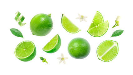 Lime has water drop with lime slices and flower collection isolated on white background. Clipping path.
