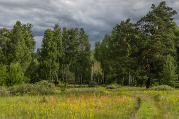 Storm clouds hung over the meadow and forest. It will rain soon.