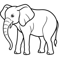 elephant cartoon illustration