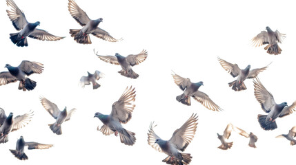 Untitled design - 466