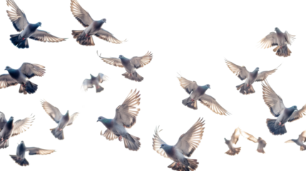 Untitled design - 466