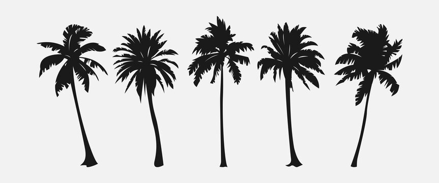 Set silhouettes of palm tree, coconut tree. Nature, environment concept. Vector illustration.