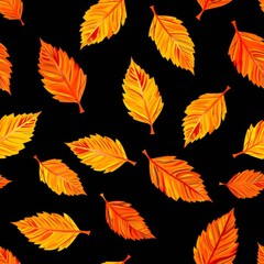 Fototapeta premium Seamless autumn pattern with colorful falling leaves on black background. Nature texture for textile, wrapping paper, fabric. Concept of fall, foliage, and Thanksgiving.