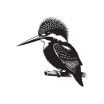 recommend clip art: Abstract kingfisher silhouette figure - minimallest kingfisher vector
                    