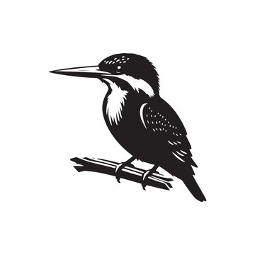 recommend clip art: Kingfisher silhouette graphic - minimallest kingfisher vector
                    