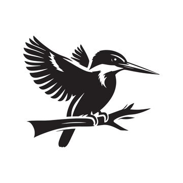 recommend clip art: Modern kingfisher silhouette design - kingfisher illustration - kingfisher black vector
                    