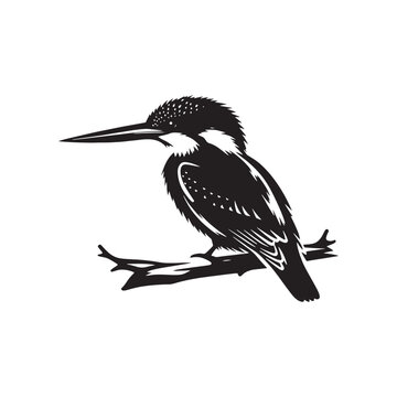 recommend clip art: Kingfisher silhouette profile - kingfisher illustration - kingfisher black vector
                    