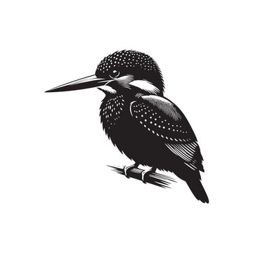 recommend clip art: Kingfisher bird black silhouette - minimallest kingfisher vector
                    