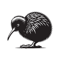 Kiwi silhouette illustration - kiwi illustration - kiwi black vector
