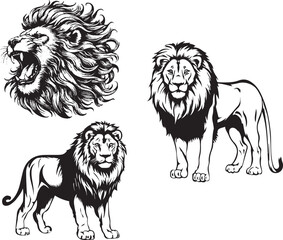 Lion Head animals art graphic resources vector Element image design