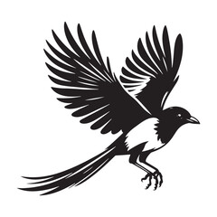 Magpie silhouette symbol - magpie illustration - magpie black vector
