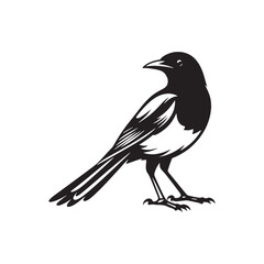 Magpie silhouette profile view - magpie illustration - magpie black vector
