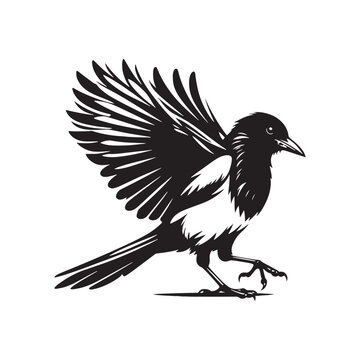 recommend clip art: Magpie silhouette illustration - magpie illustration - magpie black vector