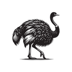 Geometric ostrich silhouette - ostrich illustration - ostrich black vector
