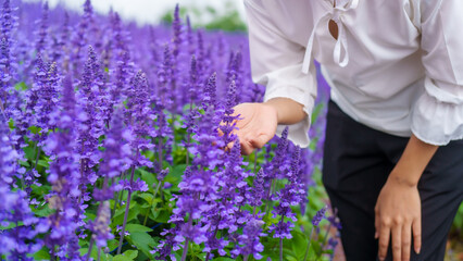 asian woman finds peace and joy in a lavender field during rainy season, embracing nature beauty for a serene purple background