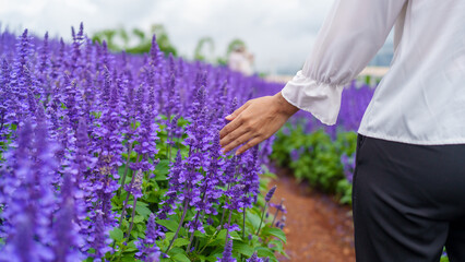 asian woman finds peace and joy in a lavender field during rainy season, embracing nature beauty for a serene purple background