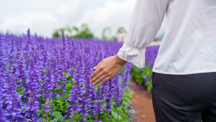asian woman finds peace and joy in a lavender field during rainy season, embracing nature beauty for a serene purple background