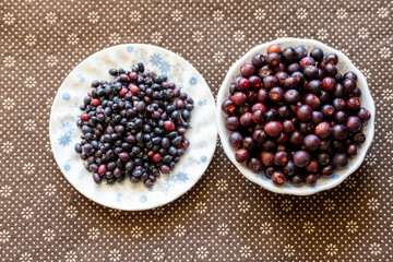 Bilberries closeup in a bowls. Fresh dark berries in plates