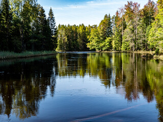 Scenic view of a salomon river labdscape in Fjarnebofjarden national park in north of Sweden