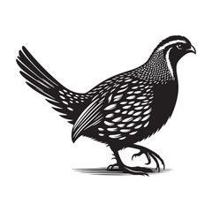 Abstract quail silhouette figure - minimallest quail vector