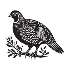 Simplified quail silhouette - quail illustration - quail black vector