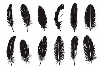 Feather icon, animal feathers isolated, black plume symbol, minimal plume silhouette on white
