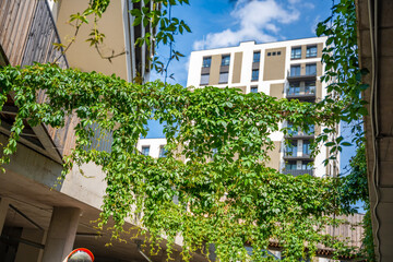 New apartment houses with integrated landscaping. Luxury housing near park.