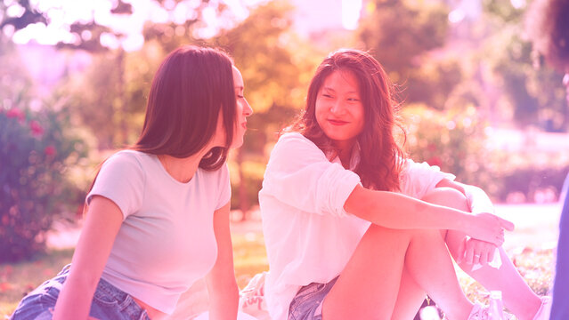 Light Leaks Transitions
