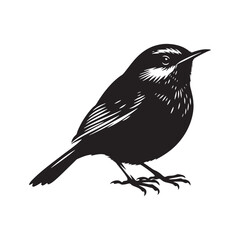 Wren bird silhouette vector artwork