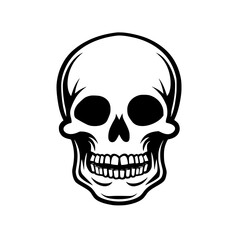 Bold Black and White Skull Illustration, Striking black and white illustration of a human skull, featuring bold lines and intricate details, creating a powerful and edgy visual.
