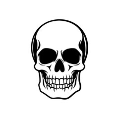 Fototapeta premium Bold Black and White Skull Illustration, Striking black and white illustration of a human skull, featuring bold lines and intricate details, creating a powerful and edgy visual. 