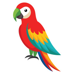 Colorful Red Macaw bird on white background