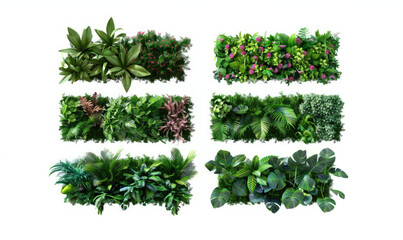 Obraz premium Collection of six rectangular green vertical gardens isolated on white background