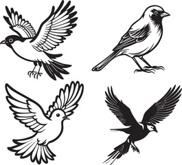 Flying Birds animals art graphic resources vector Element image design